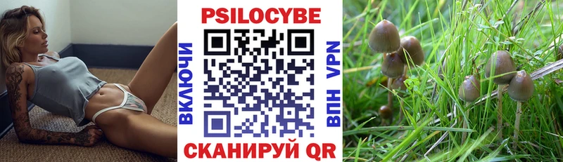 Псилоцибиновые грибы Cubensis  Первомайск 